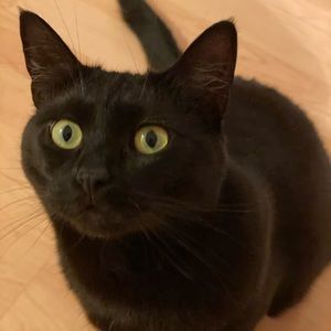 Meet your Posher, Victoria